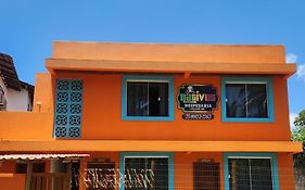 Nativus Flats